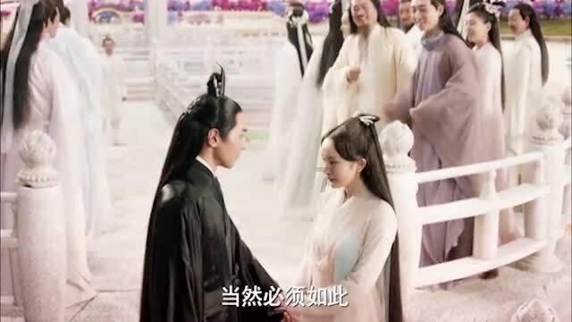 救援卷耳兔